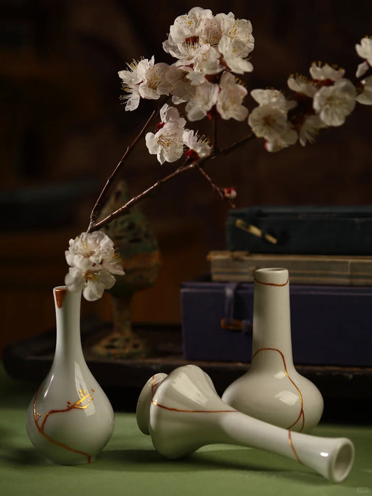 Hands-On Porcelain restoration Starter Kit