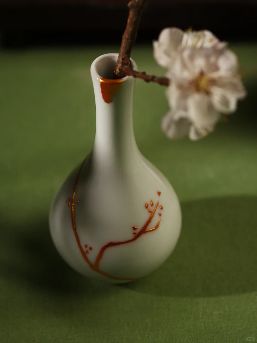 Hands-On Porcelain restoration Starter Kit